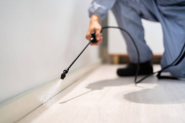 Bed Bug Pre-Treatment Preparation Assessment in Shady Hills
