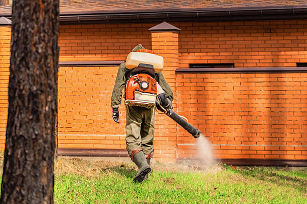 Bed Bug Clearance Verification and Documentation in Shady Hills